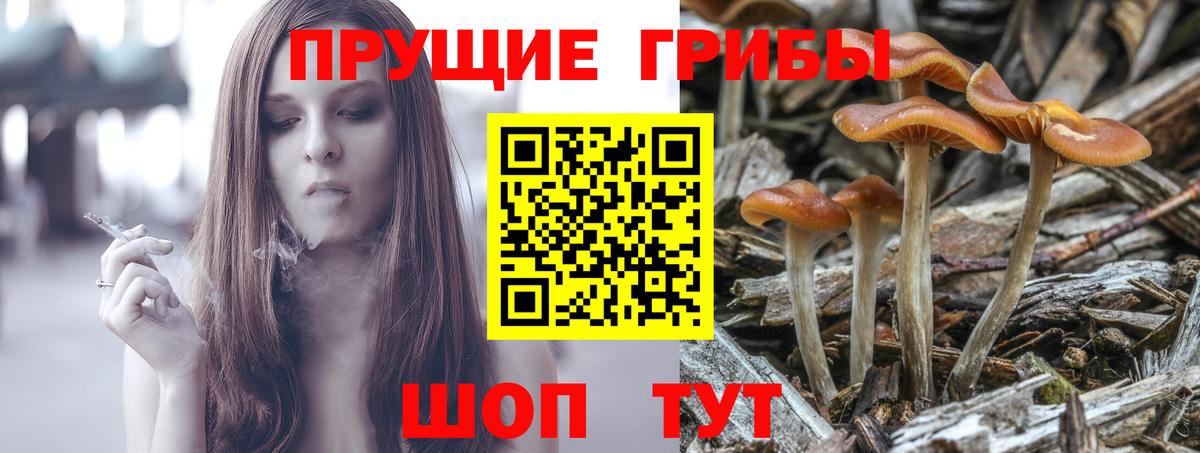 Петрозаводск  Галлюциногенные грибы MAGIC MUSHROOMS  Вход с VPN  Галлюциногенные грибы MAGIC MUSHROOMS 